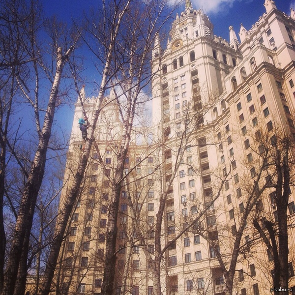 ������� ������ "����� ���������"