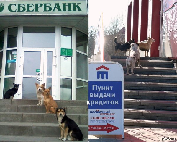       :))) ...    :)
