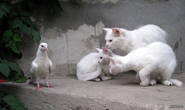 "��� 5 ���� ����� ��� ������ ��� �� �����������"