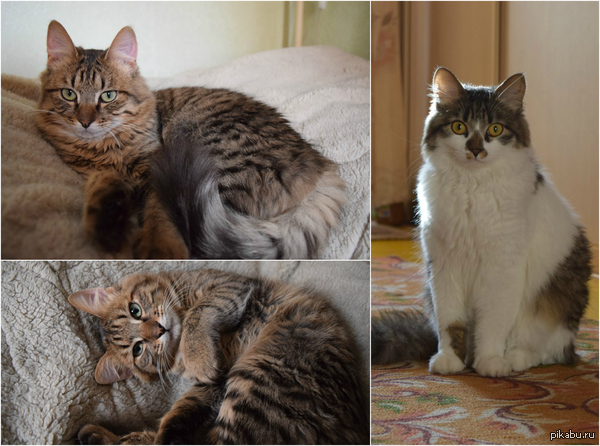 ������ � ������ ���� � ����������