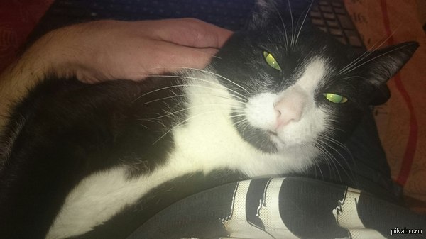 ! ,    !     ,       ...