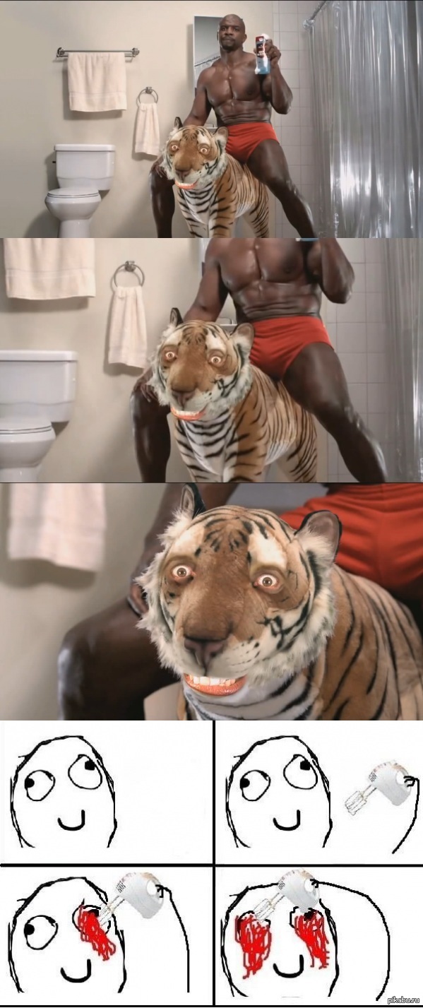 ����� ������ ����� �� ������� ���������