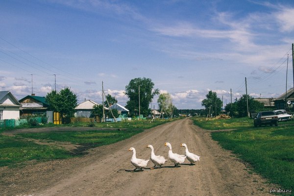 Биттлз. Abbey Road. Деревенский вариант.