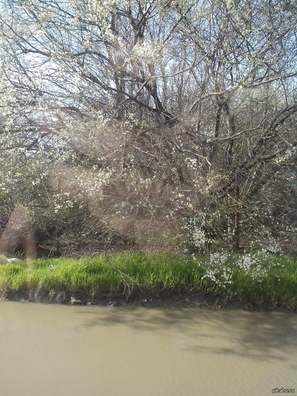 ����� ����