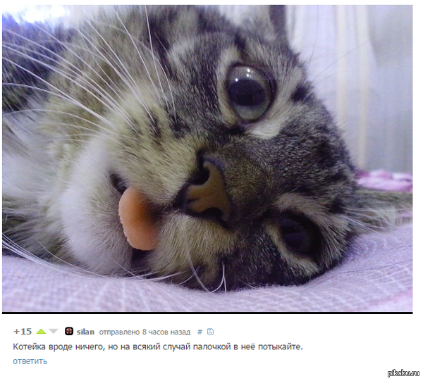 ��������!!!