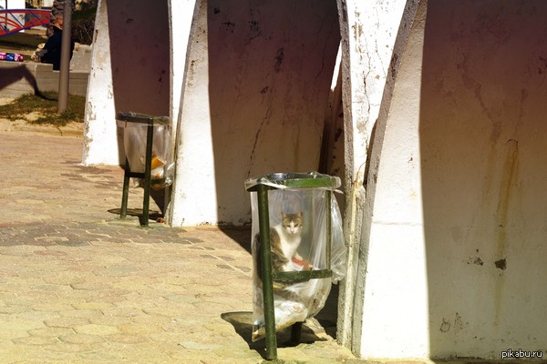 �������� �����.