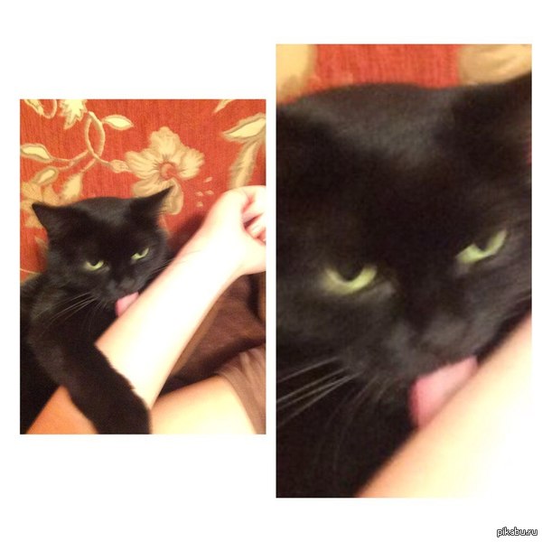   ,       ,  :)