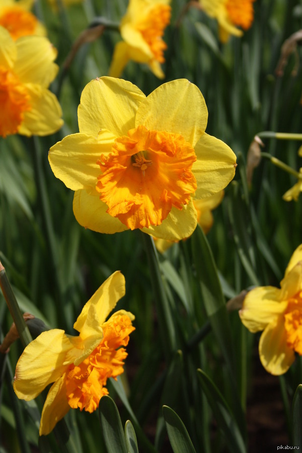 �������