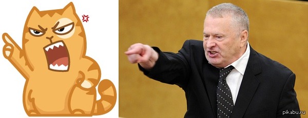 ��� ������ ��� ������� �������� ?