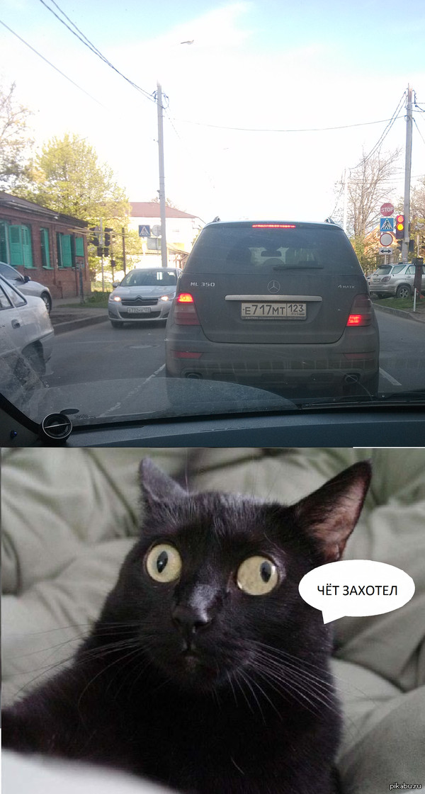 ׸� �������