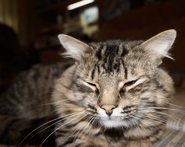 ��� ����������� ����� ��������, � � ����?