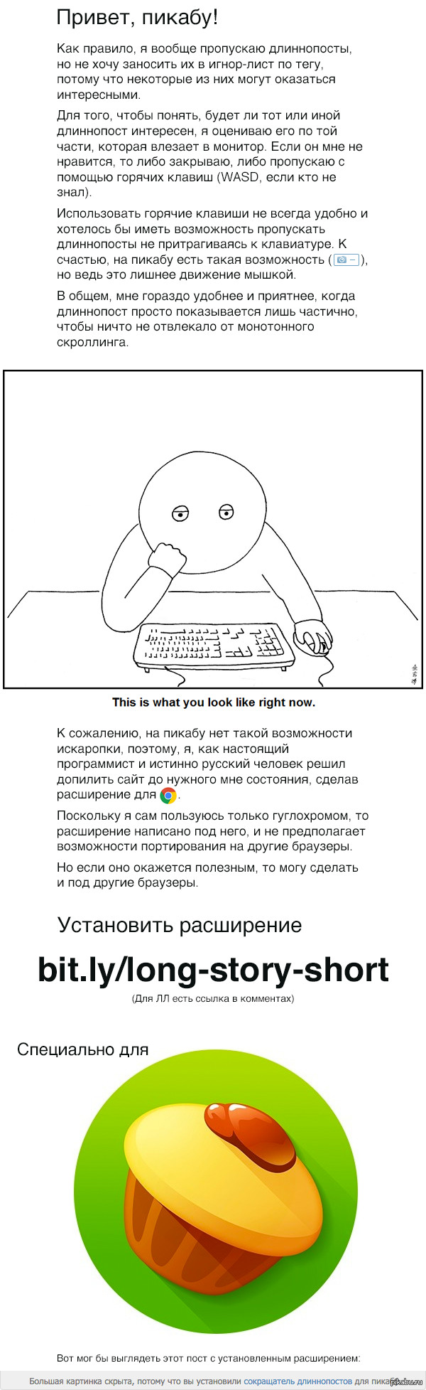      google chrome (    )