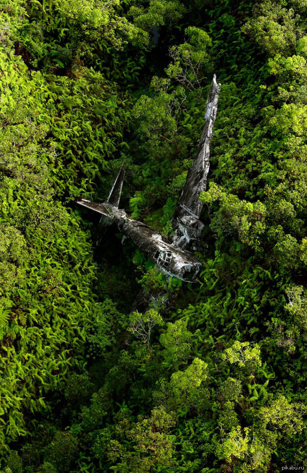 Застывшая история