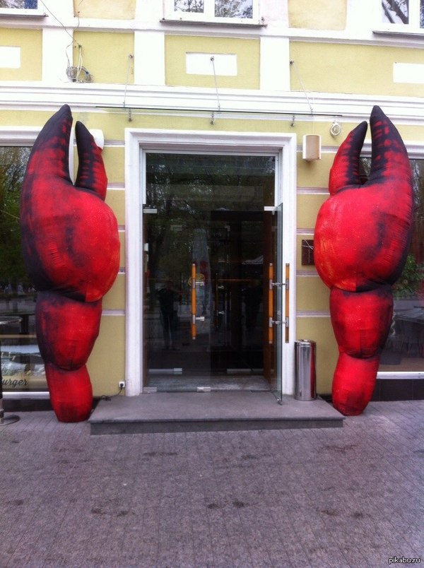 �����������, ��� �����������