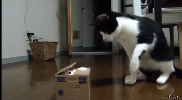 �������� ��� ����