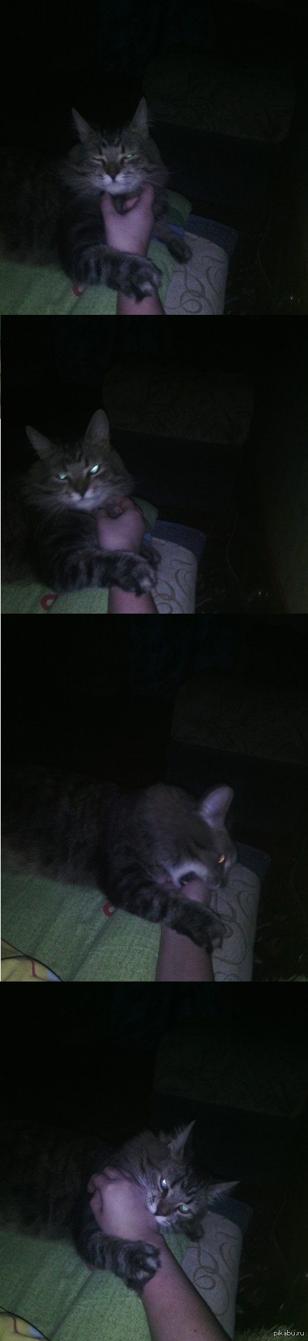 ���-�� ����� �� ���....