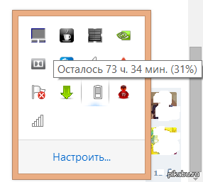 31% �������