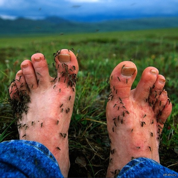 ����� �����...