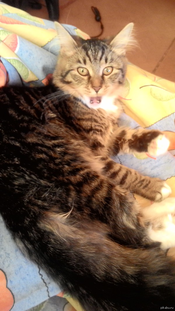 ��������� ��� �������)))