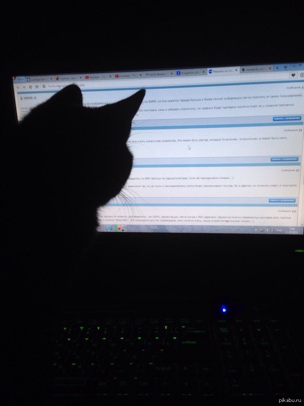 ��� �������� �� ��������