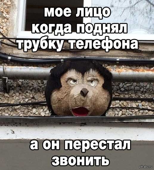 ����� ��������������, � ��� ������