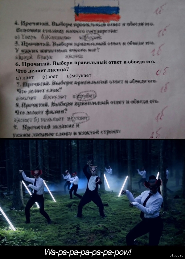 What does лиса делает