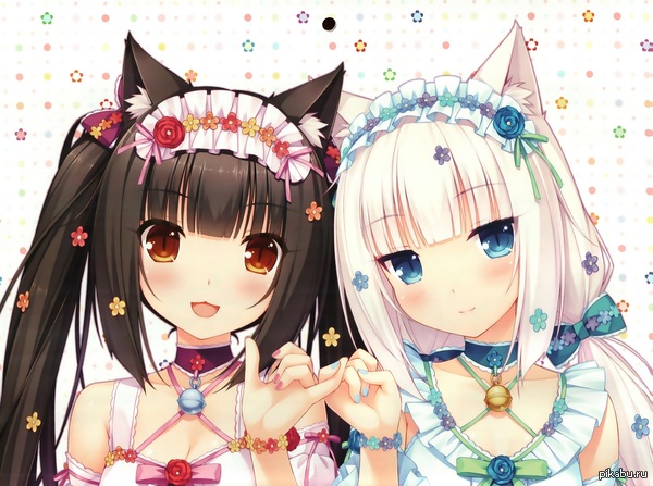 Anime_art 431 - NSFW, Аниме, Nekopara, Chocolat (neko para), Vanilla (neko para), Coconut (neko para), Арт, Anime Art