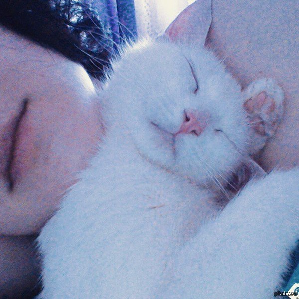  ,   .    20 ,          . 