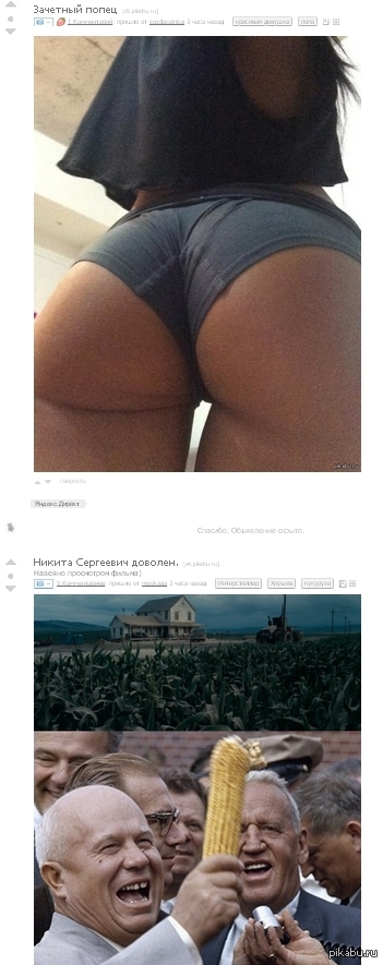 The main thing is that Nikita Sergeevich is satisfied - Corn, Booty, Coincidence, NSFW