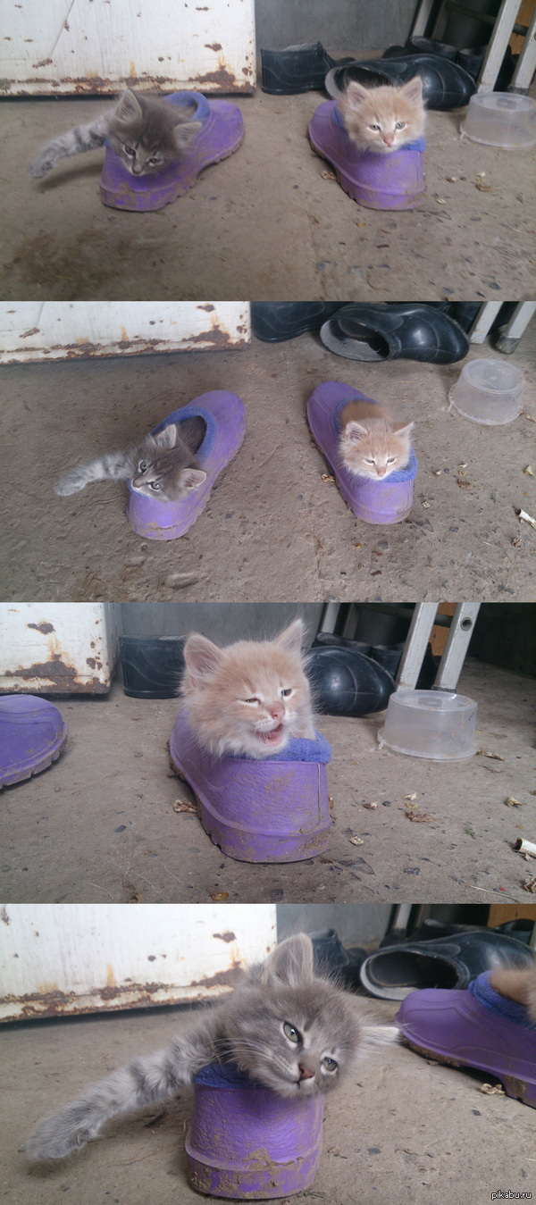 ������ � �������!