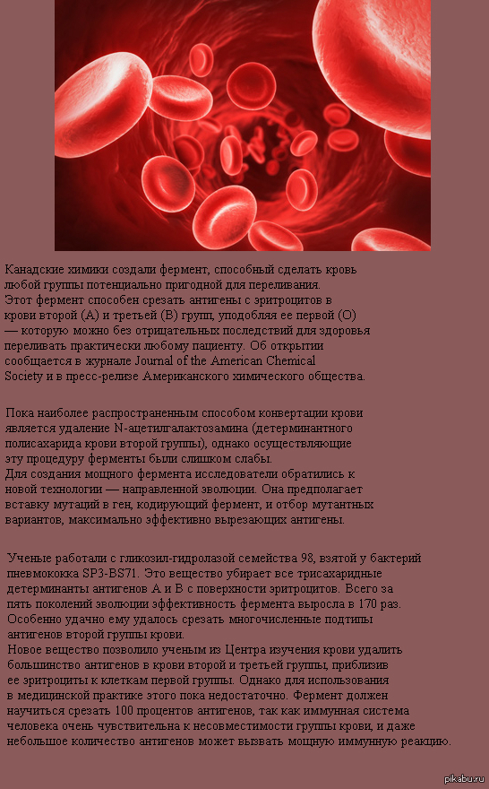 Группа крови определяет характер. Группа крови. Группа крови и характер. Характер по группе крови. Группа крови и характер проект.