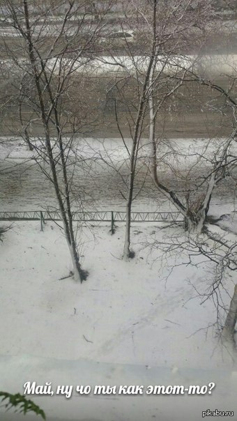 Зима в мае приколы. Снег в мае картинки. Снег в мае смешные картинки. Снег в мае приколы. Раскидка снега весной.