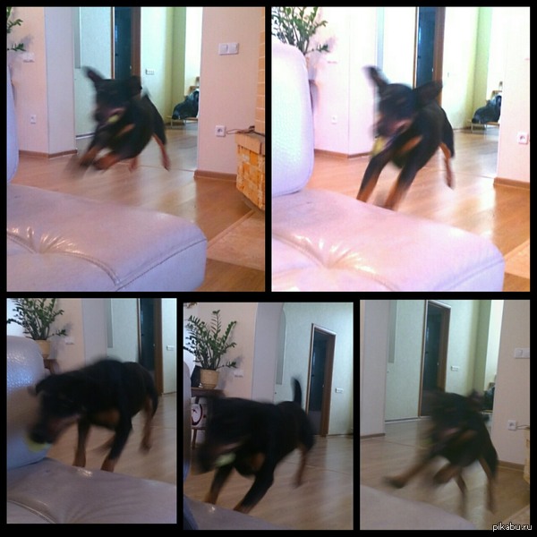 ���������� � ���� ������...