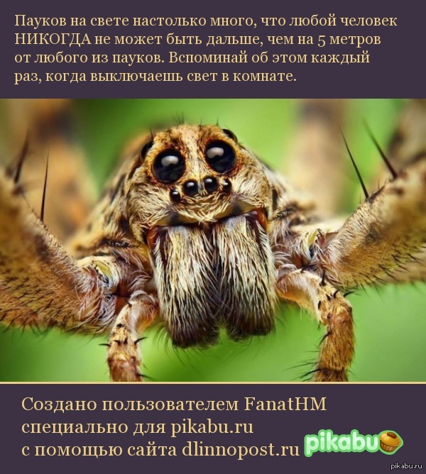  ! 
