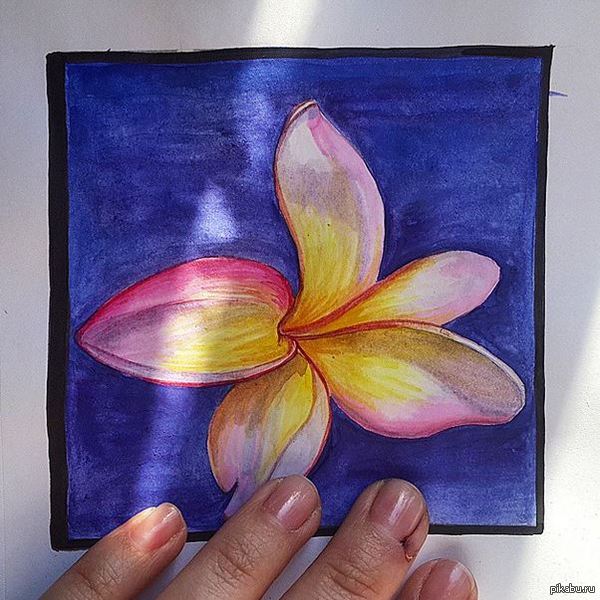 ��������� �����