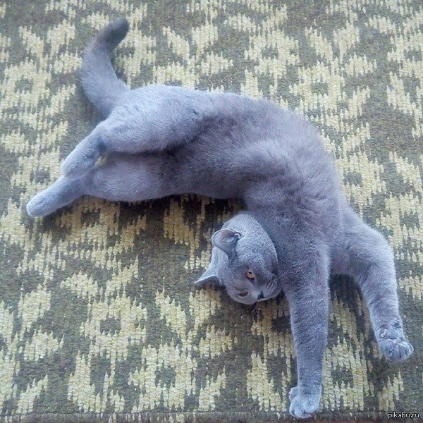 Мне так удобно