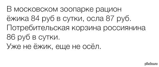 Будем давать весь день. Дай человеку рыбу и он будет сыт весь день. Дай человеку Арбуз и он сыт всю. Он сыт весь день. Дай человеку рыбу и он будет сыт весь день дай человеку Арбуз и он.