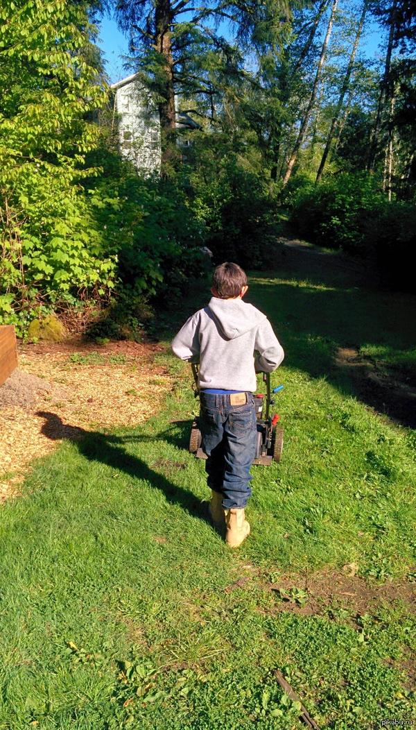 "Понадобилось 10 лет и 9 месяцев, чтобы у меня появился автоматический подстригатель газонов"