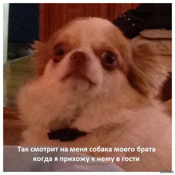 Как то так :)