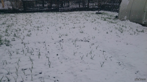 ����� ���� � ������ ���! ^_^