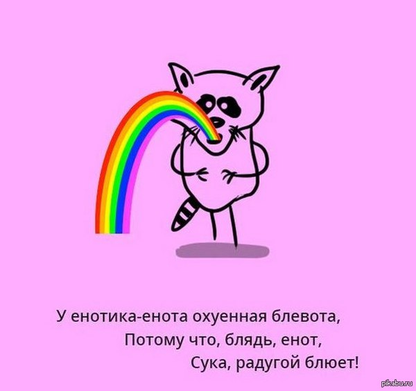 Енот! | Пикабу