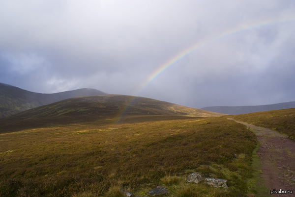 Rainbow
