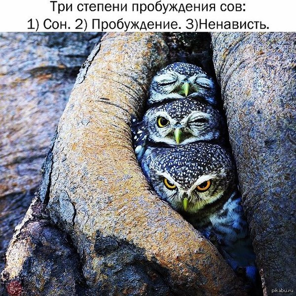Три этапа пробуждения
