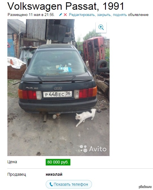 ���� ��������� ����