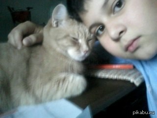 Брат за брата, так за основу взято...