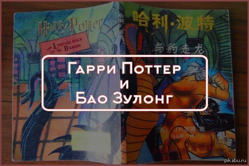 В 2002 году в Китае была издана «новая» книга о Гарри Поттере от анонимного автора под названием «Гарри Поттер и Бао Зулонг»