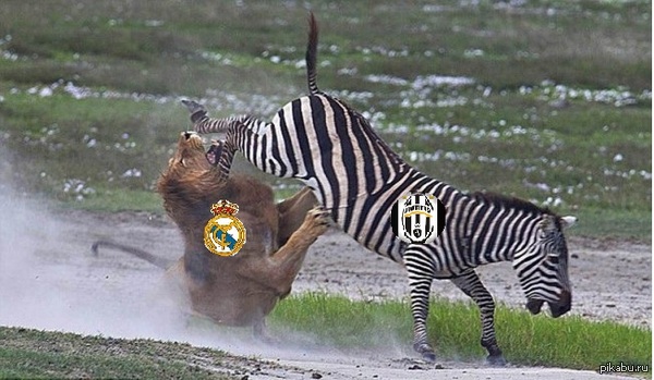 ���� ���������.