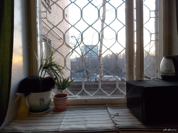 ������ � ���