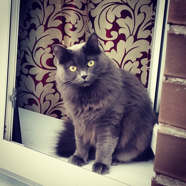 А из нашего окошка...