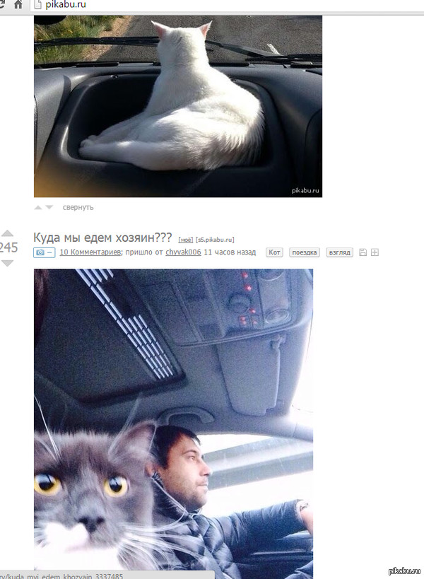 �����, ���� �� �� �������?